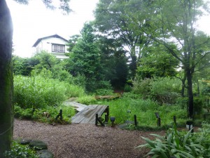 The pond and marsh area of the garden.